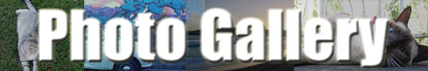 Photos